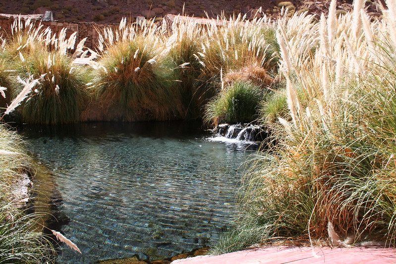 Termas de Puritama