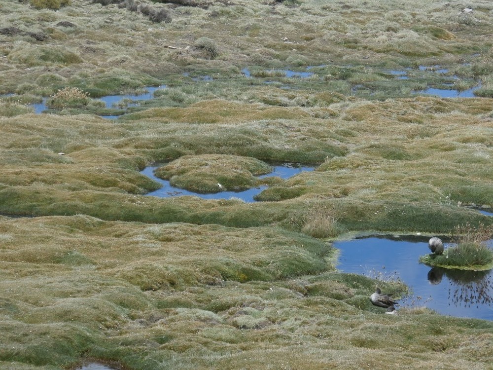 Terma de Las Cuevas