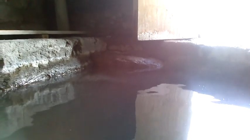 Termas Chiriguaya