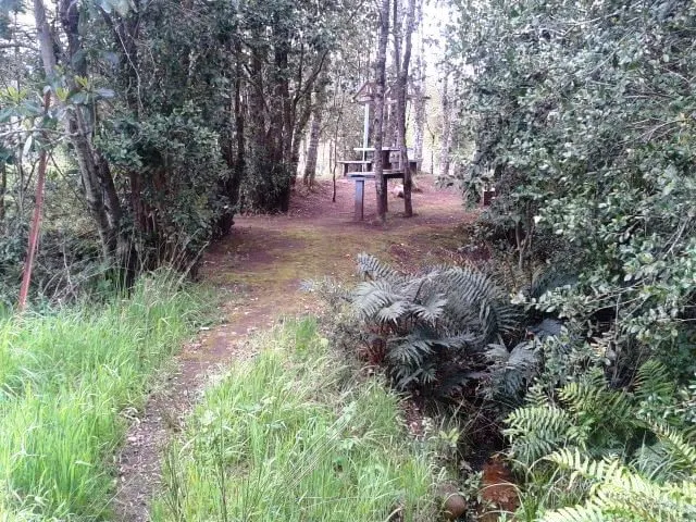 Termas Recuerdo de Ancamil
