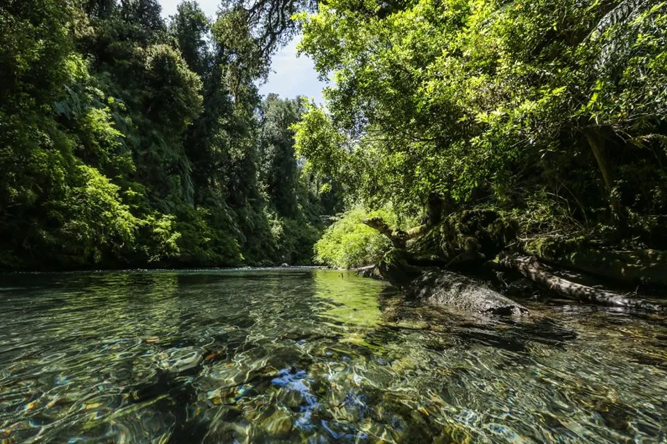 Termas Aguas Calientes