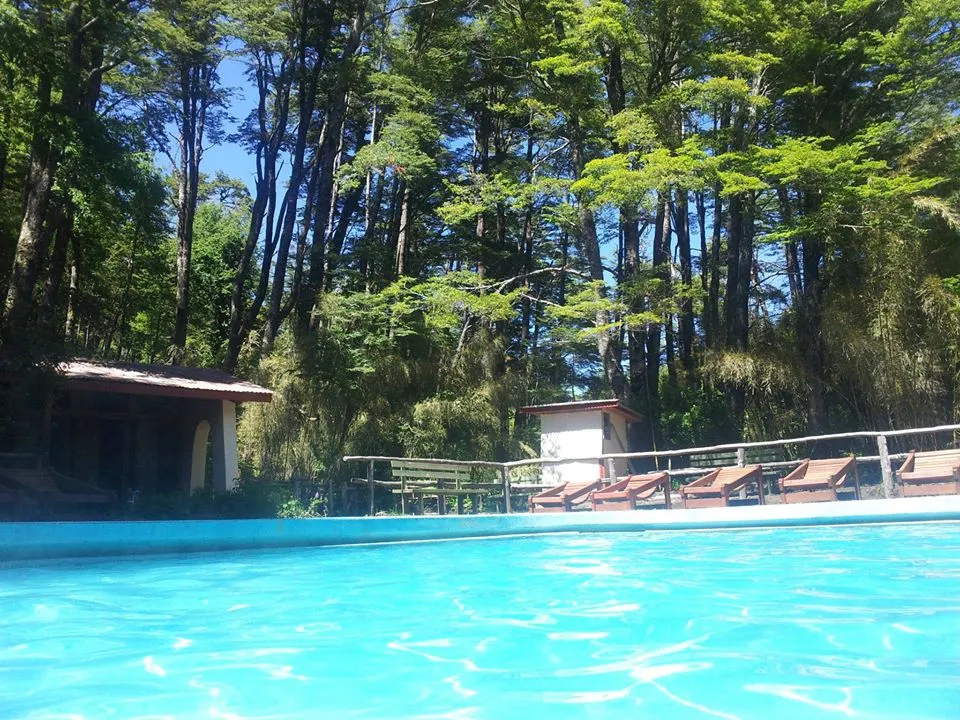 Termas Palguin