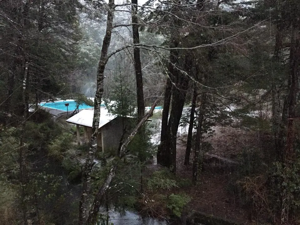 Termas Palguin