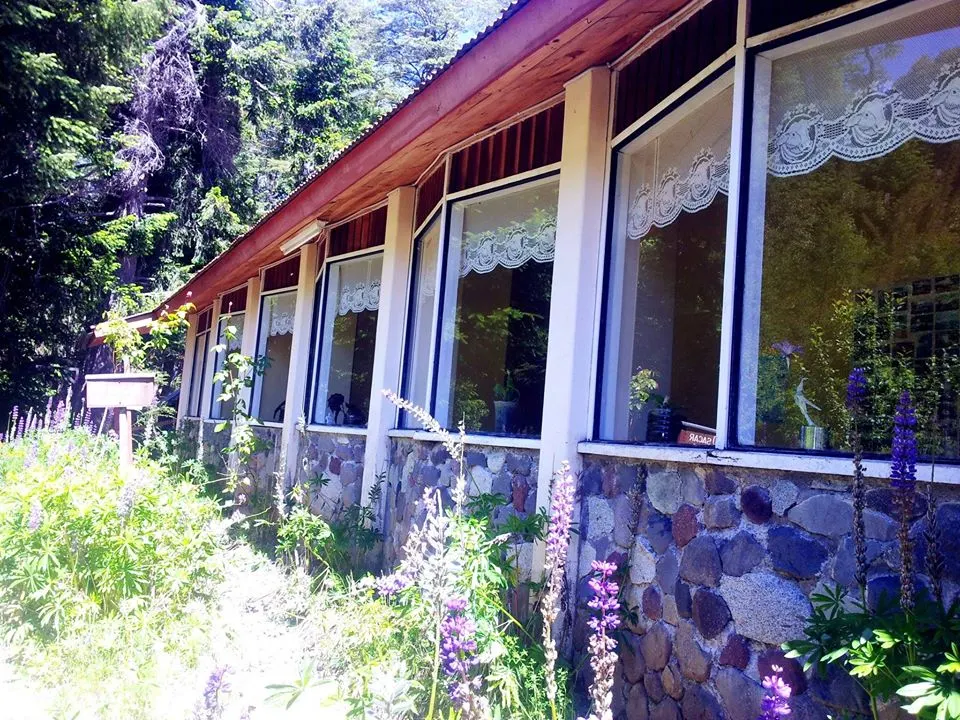Termas Palguin