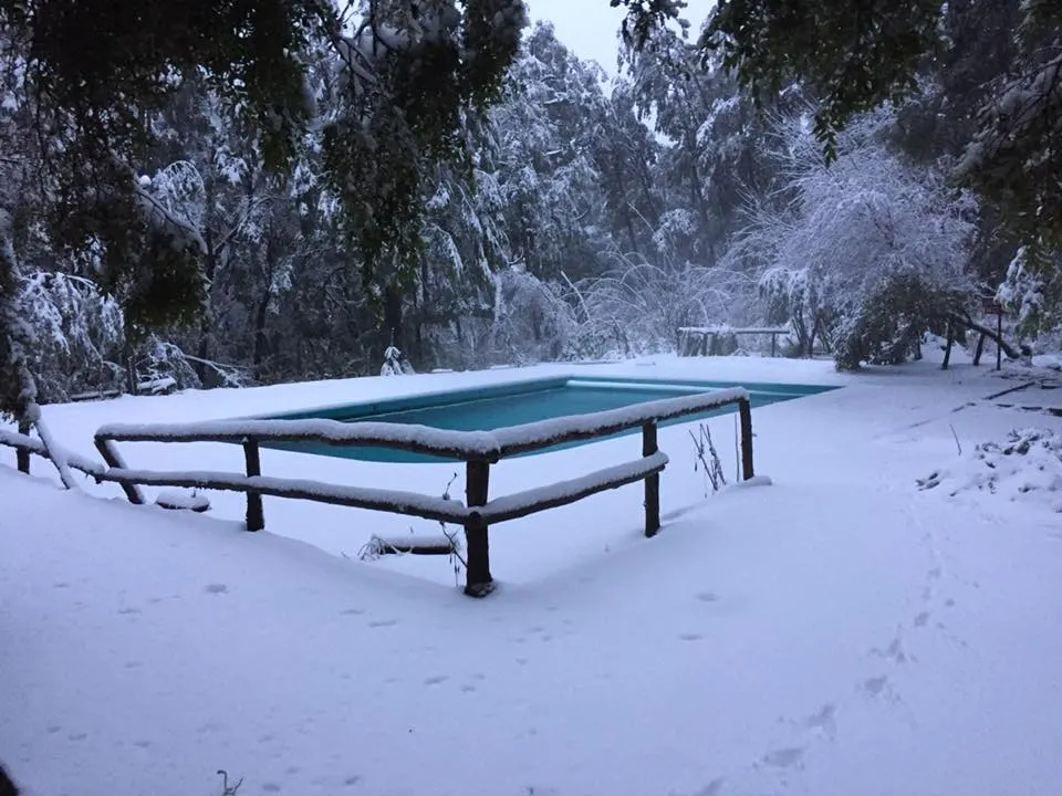 Termas Palguin