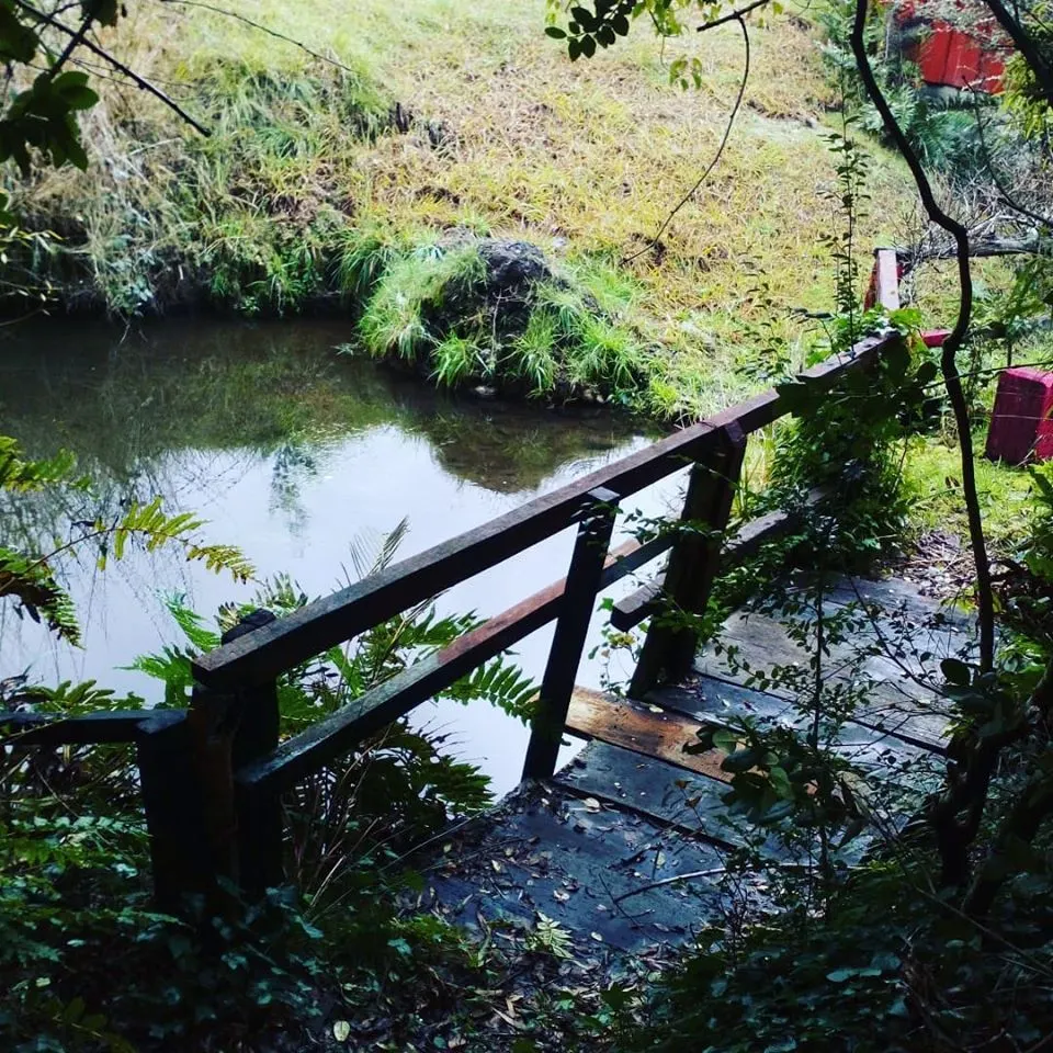 Termas Recuerdo de Ancamil