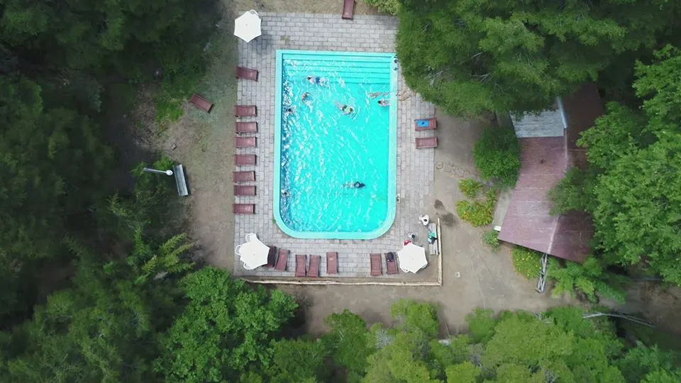 Termas Palguin