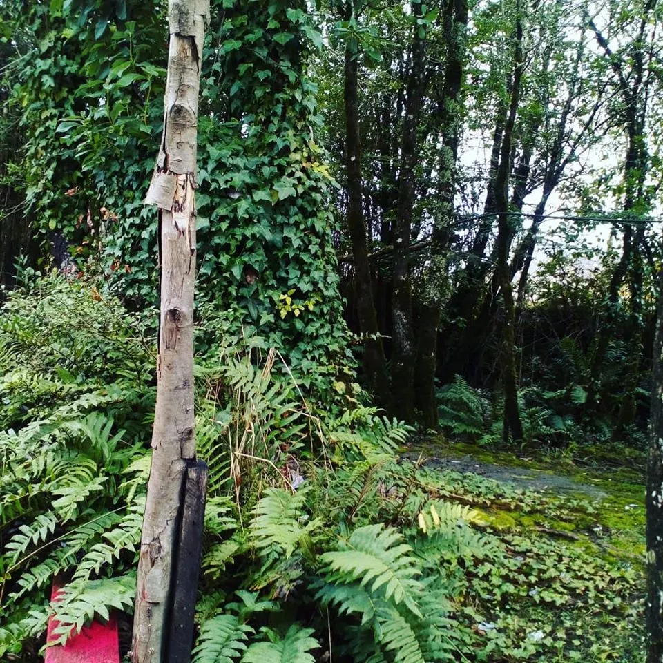 Termas Recuerdo de Ancamil