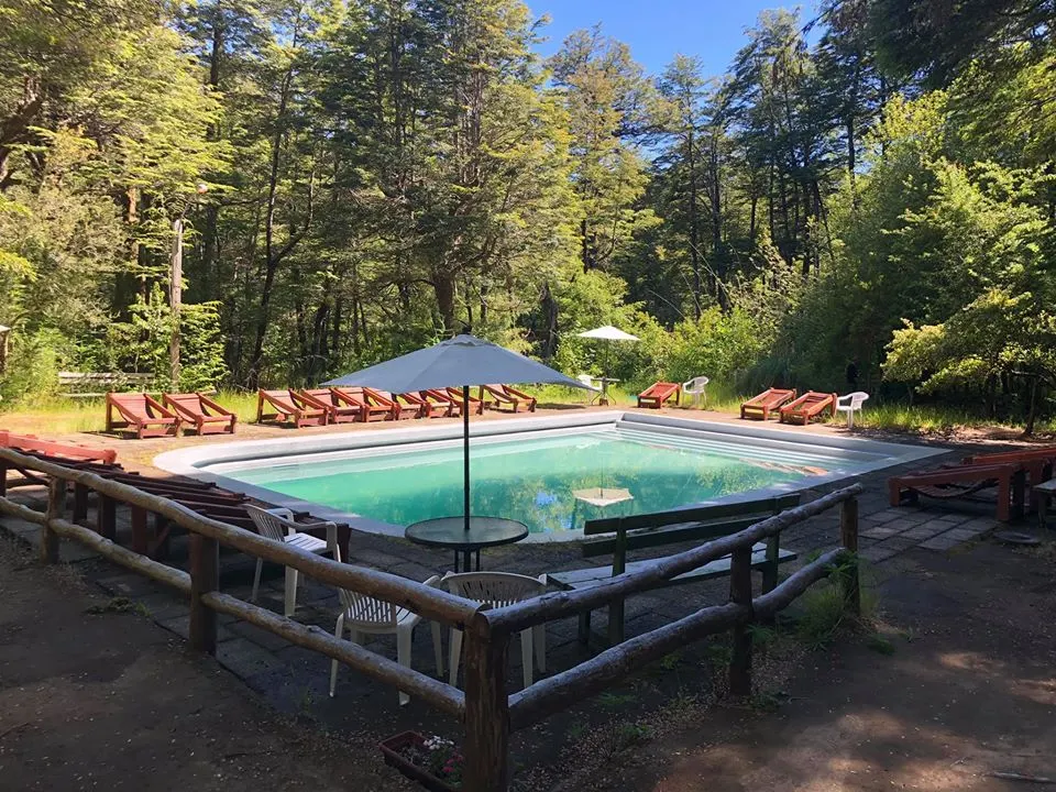 Termas Palguin