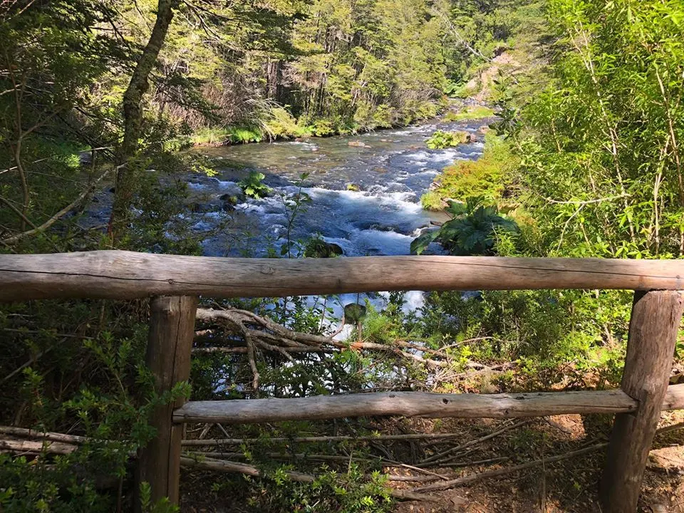Termas Palguin