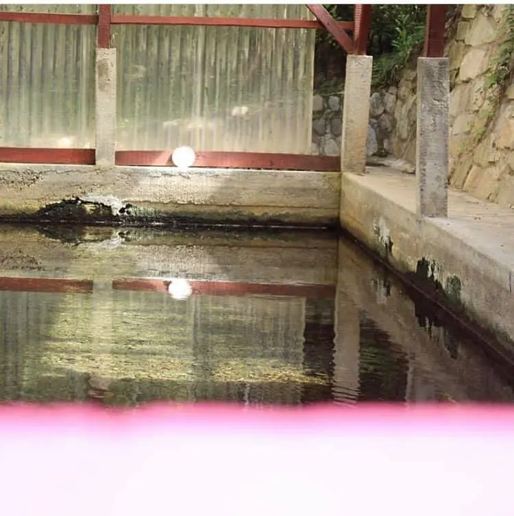 Termas Recuerdo de Ancamil