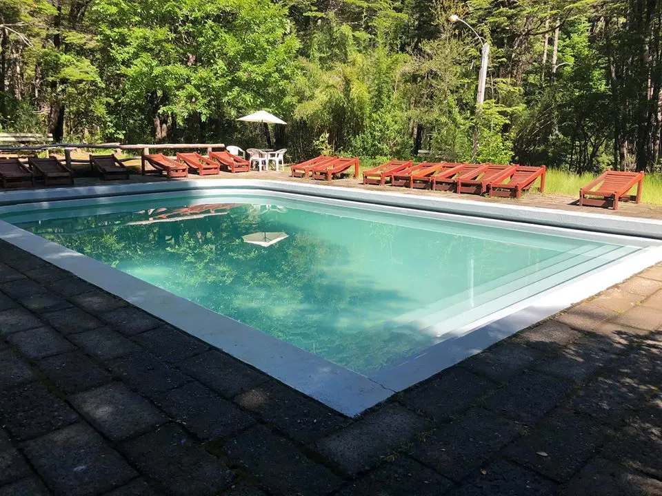 Termas Palguin