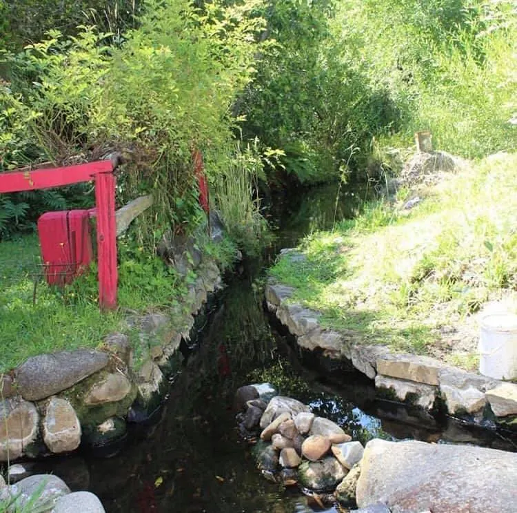 Termas Recuerdo de Ancamil