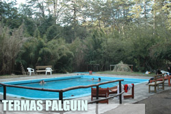 Termas Palguin