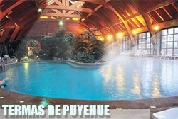 Termas Puyehue