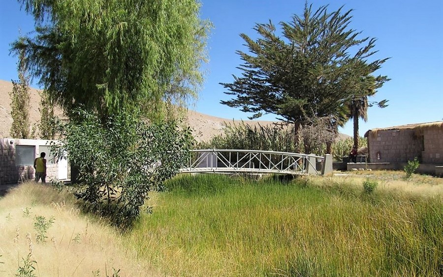 Termas Mamiña