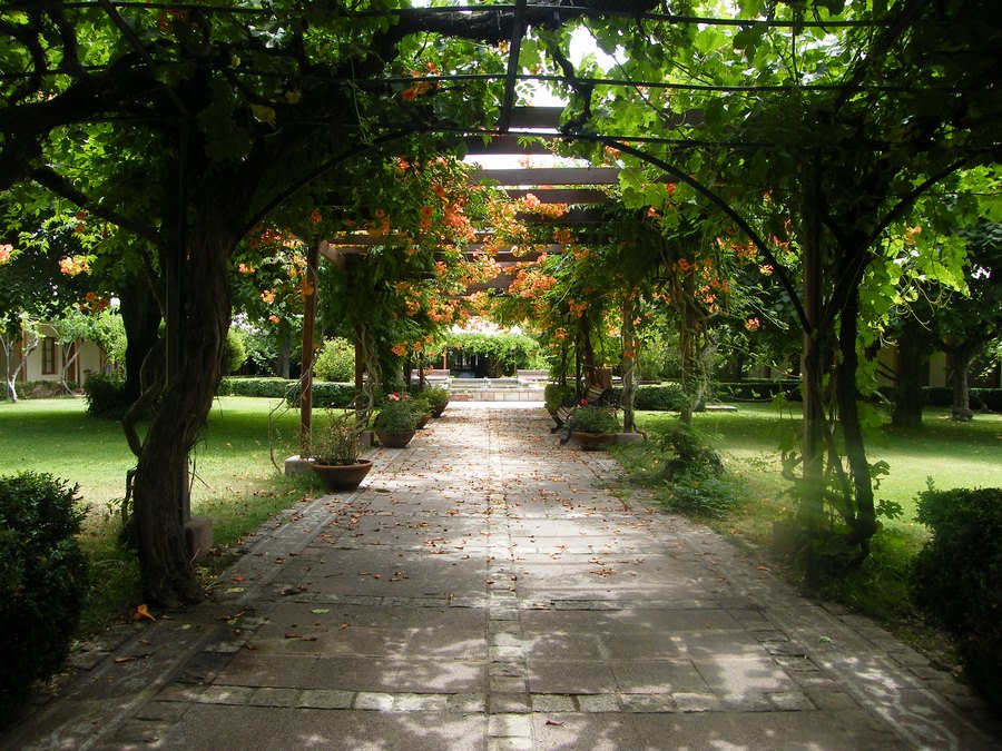 Termas de Cauquenes