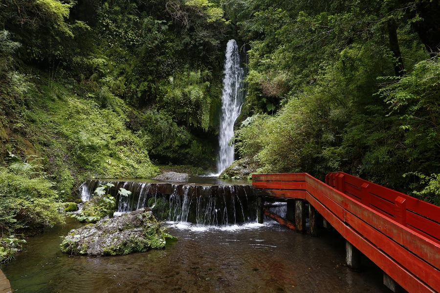 Termas Geometricas